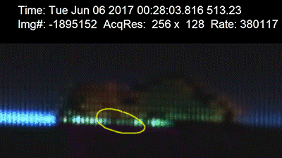 13.gif