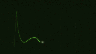 12.gif