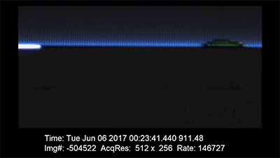 11.gif