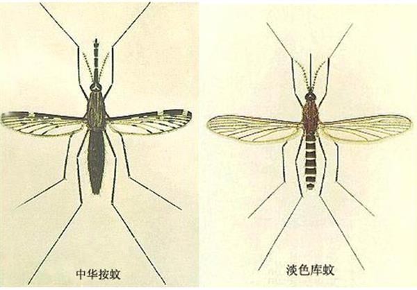 S0743df61-260c-4040-a2a6-cf9b6c84208f.png